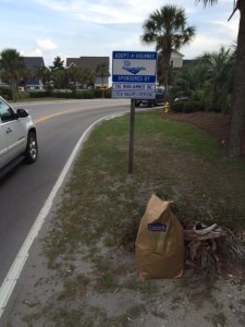 Palm Blvd 2 - Windjammer